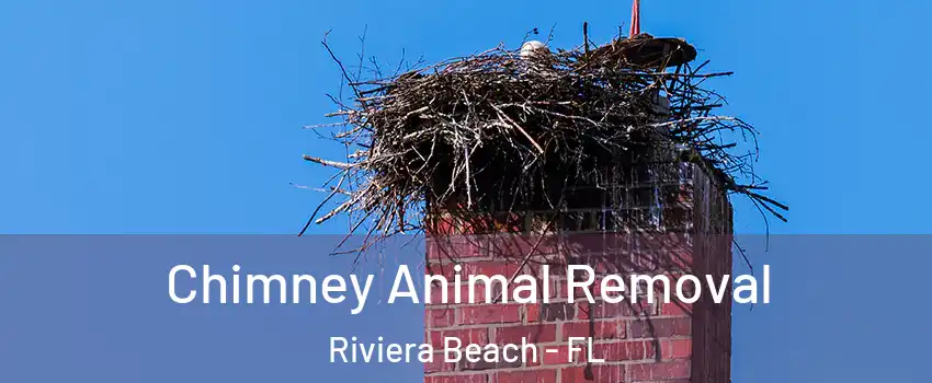 Chimney Animal Removal Riviera Beach - FL