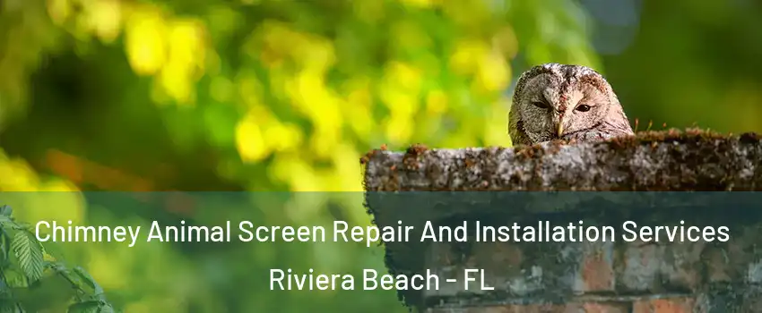  Chimney Animal Screen Repair And Installation Services Riviera Beach - FL