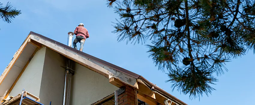 Birds Removal Contractors from Chimney in Riviera Beach, FL